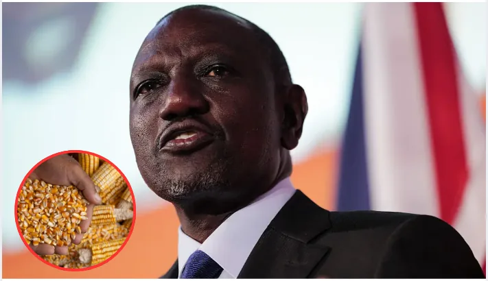 President William Ruto has announced plans to lower fertiliser and seed prices, expand irrigation and support farmers after poor rainfall caused crop losses across parts of Kenya.