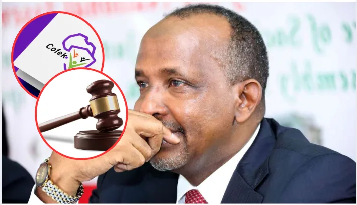 COFEK has filed a court petition seeking to stop Kenya’s mandatory travel health insurance requirement for foreign visitors, arguing that the programme lacks transparency and unfairly favours selected insurers.