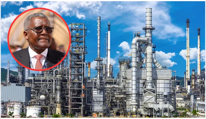 Aliko Dangote is seeking government protection for his planned Ksh2.2 trillion Lamu oil refinery, warning that cheap imported fuel from countries such as Russia and India could make it difficult for the facility to compete.