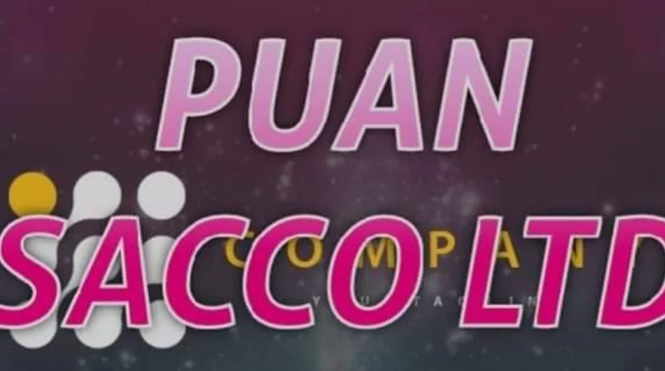 Members demand a comprehensive lifestyle audit of Puan Sacco staff and board.
